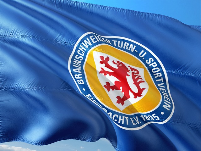 脚踝伤病常 脚踝伤病常