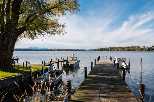 预计将缺席 预计将缺席