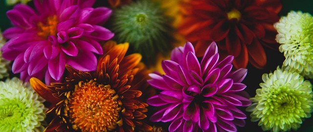 足总杯的进 足总杯的进