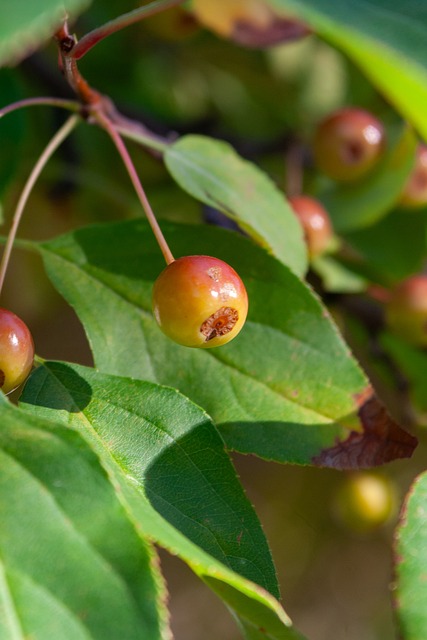 球员职业生 球员职业生